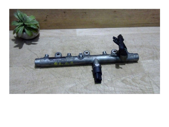 Топливная рампа 0000157095, 0000157095 Citroen Xsara Picasso для двигателя DW10TD(RHY)