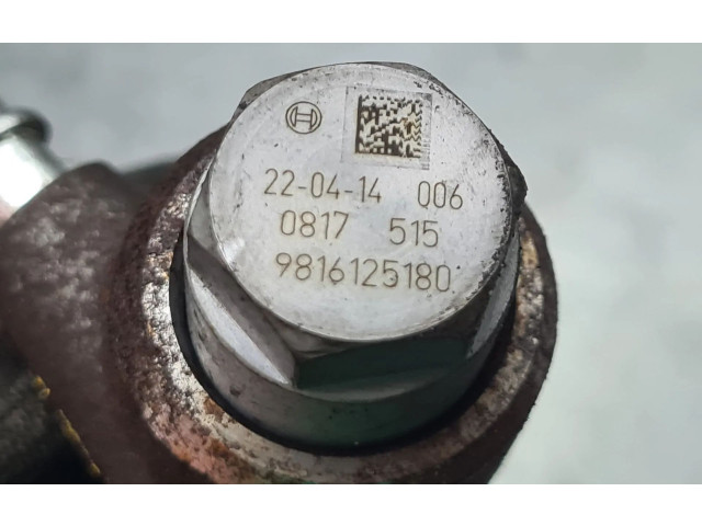 Топливная рампа 9821399680, 221871627   Peugeot Partner III  