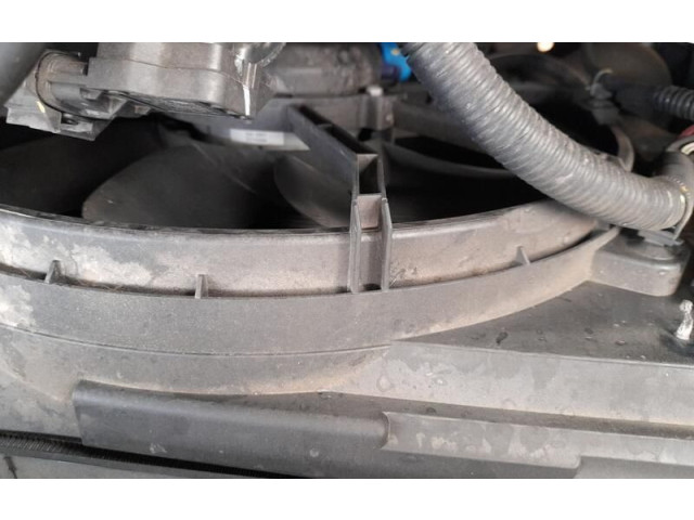 Вентилятор радиатора         Dacia Sandero 