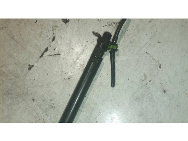 Комплект форсунок 9686191080 Ford Galaxy для дизельного двигателя 2