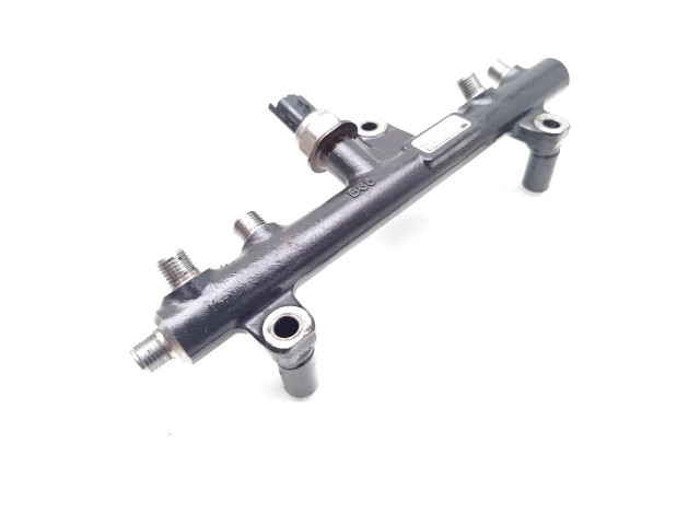 Топливная рампа 9663305480, 28497Z01   Ford Kuga I   для двигателя TXDA