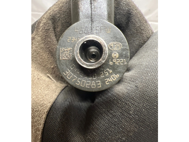 Форсунка 0445110251, 221039    Volvo S80   