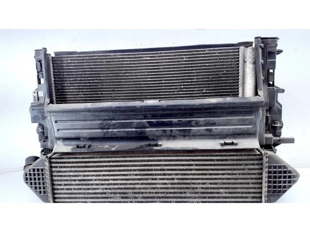 Топливная рампа 31294096, 31319168   Volvo V40  