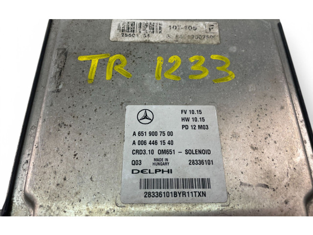 Řídící jednotka A6519007500, A0064461540 Mercedes-Benz C W204 2010