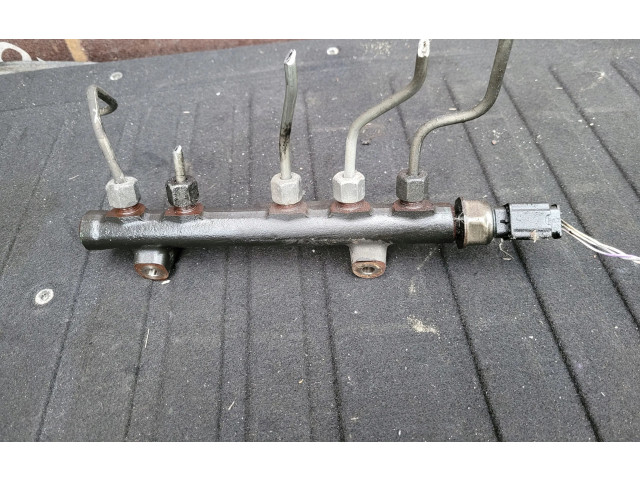 Топливная рампа    Citroen DS4  