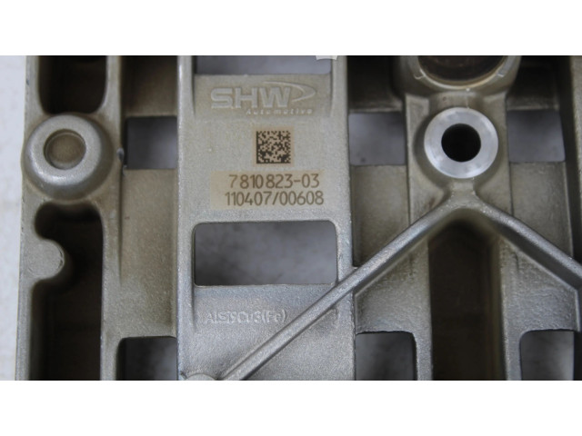 Čerpadlo oleje 7810823, 7810823 BMW 3 E90 E91