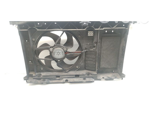 Вентилятор радиатора     1253A9, 1253A9    Citroen C4 Grand Picasso 
