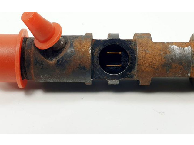 Форсунка A6650170121 SsangYong Rexton D27DT