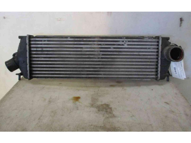 Интеркулер 8200411160, 8200411160 Renault Trafic II (X83)