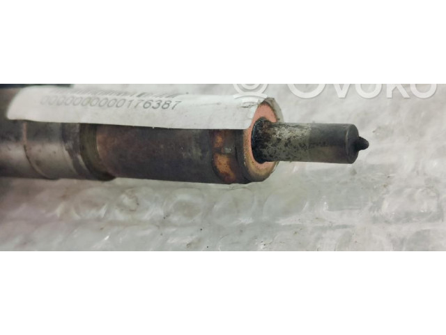 Форсунка 0445110252 Citroen Nemo 8HS