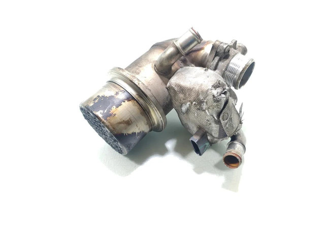 Клапан EGR 04L131512BG, 618720192   Skoda Superb B8 (3V)