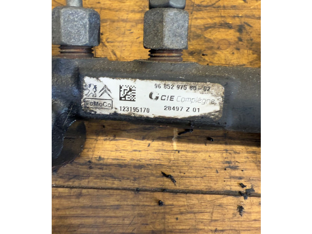 Vstřikovací lišta 9685297580, 28497Z01   Citroen Berlingo     