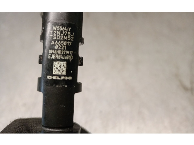 Форсунка A6650170221, 6650170121 SsangYong Rexton D27DT