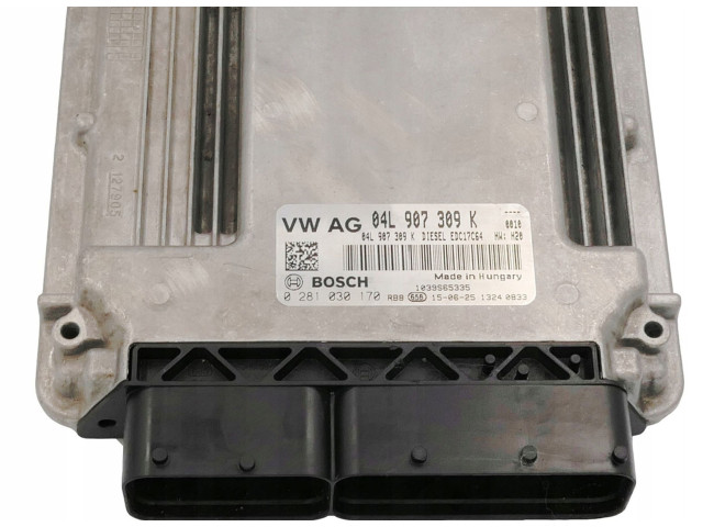 Řídící jednotka 04L907309K, 0281030170   Volkswagen Tiguan 2008