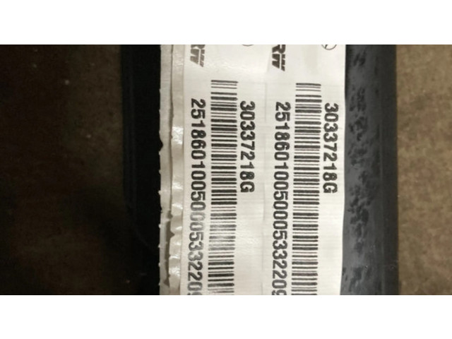 Боковая подушка безопасности 2518601005 Mercedes-Benz R W251