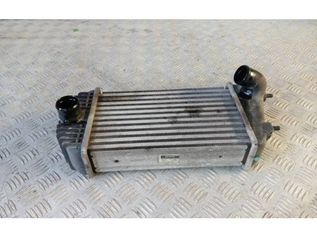 Интеркулер     Suzuki Swift 