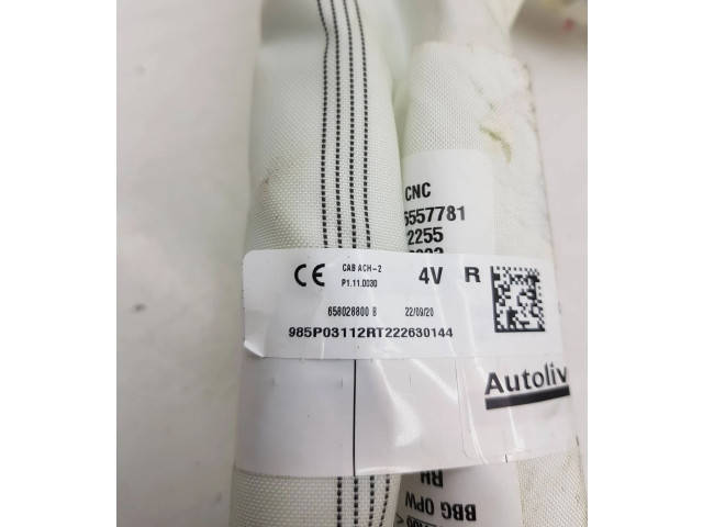 Боковая подушка безопасности 985P03112R, 5557781 Dacia Spring