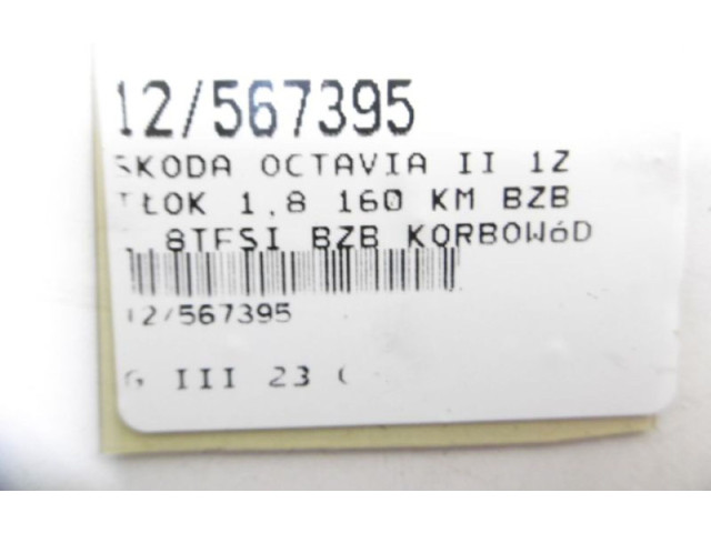 Поршень Skoda Octavia Mk2 (1Z)