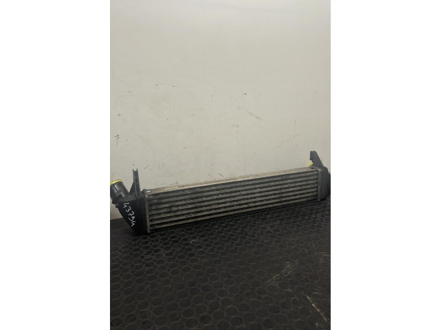 Интеркулер Dacia Logan I