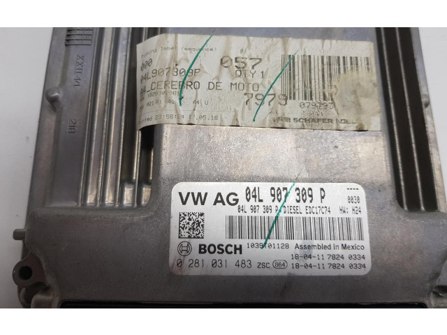 Řídící jednotka 04L907309P, 04L907309P   Volkswagen Tiguan Allspace 2018