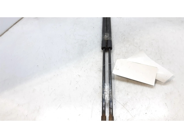 Пружина (пружины) задней крышки