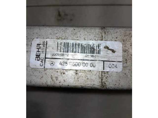 Интеркулер A2515000000 Mercedes-Benz R W251