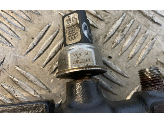 Топливная рампа A6650700295, R9145Z010B   SsangYong Rexton I   для двигателя D27DT