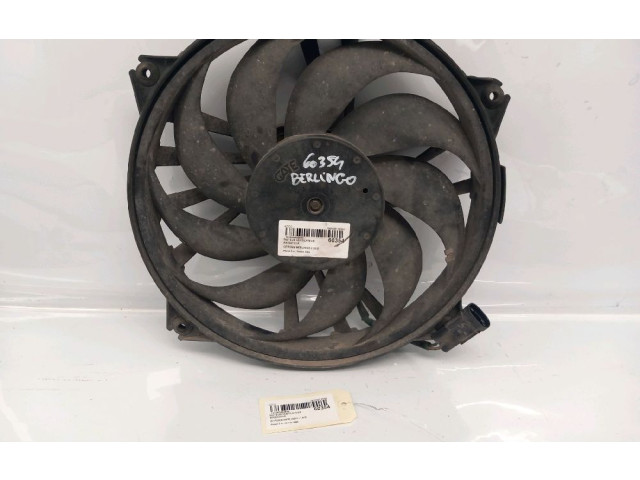 Комплект вентиляторов 1253A6, 1253A6 Citroen Berlingo