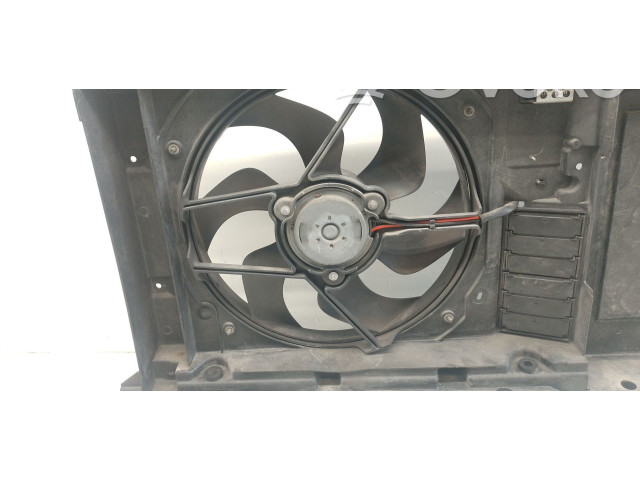 Вентилятор радиатора     1253A9, 1253A9    Citroen C4 Grand Picasso 