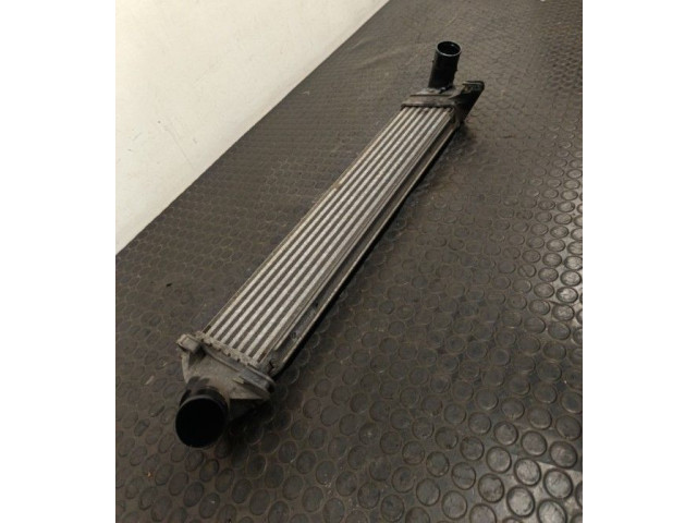 Интеркулер Dacia Logan I