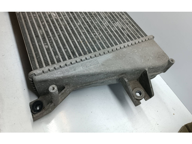 Интеркулер D2055B17, D2052B17 Nissan X-Trail T30