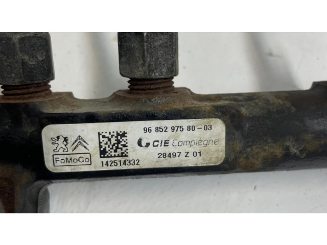 Vstřikovací lišta 9685297580, 968529758003 Citroen Berlingo pro naftový motor 1.6