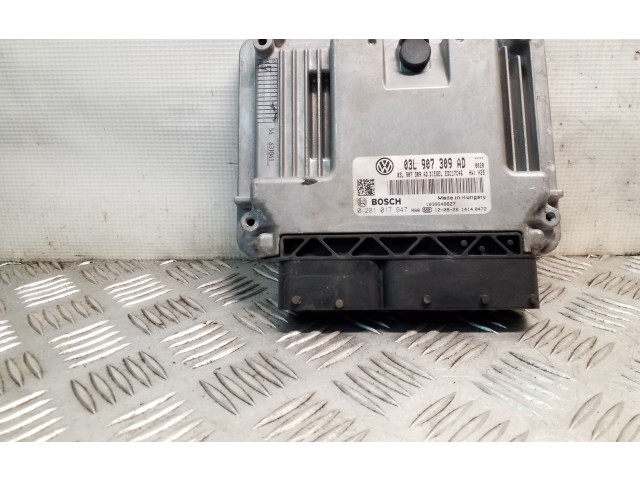 Řídící jednotka 0281017947, 03L907309AD   Volkswagen Tiguan 2013