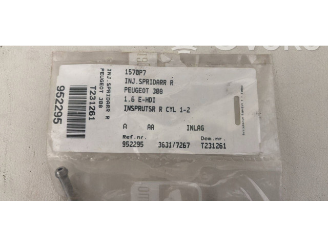 Топливная рампа 1570P7, 36317267 Citroen C4 Grand Picasso