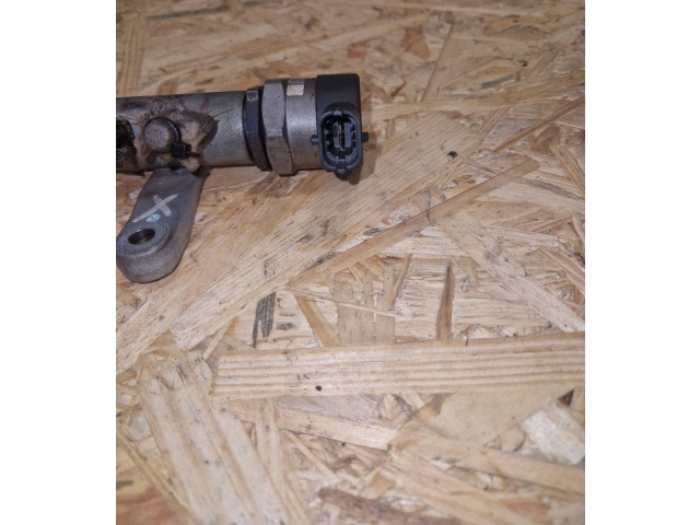 Топливная рампа 9656917280, DW12BTED4 Mitsubishi Outlander для двигателя 4HN