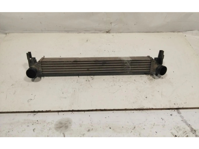 Интеркулер  NOTIENEREFERENCIA   Skoda Fabia Mk3 (NJ) 