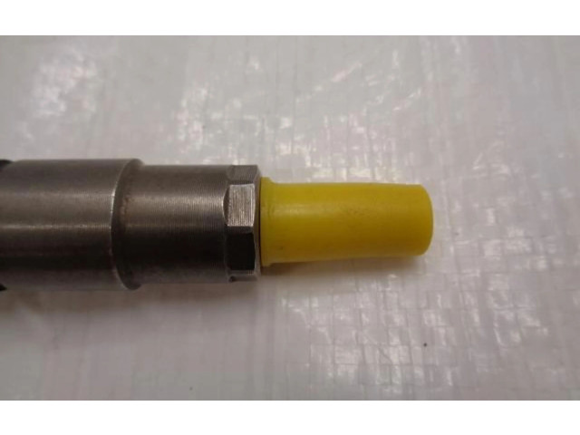 Форсунка 0445110728    Renault Koleos I   