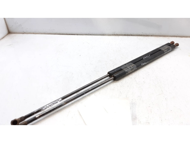 Пружина (пружины) задней крышки