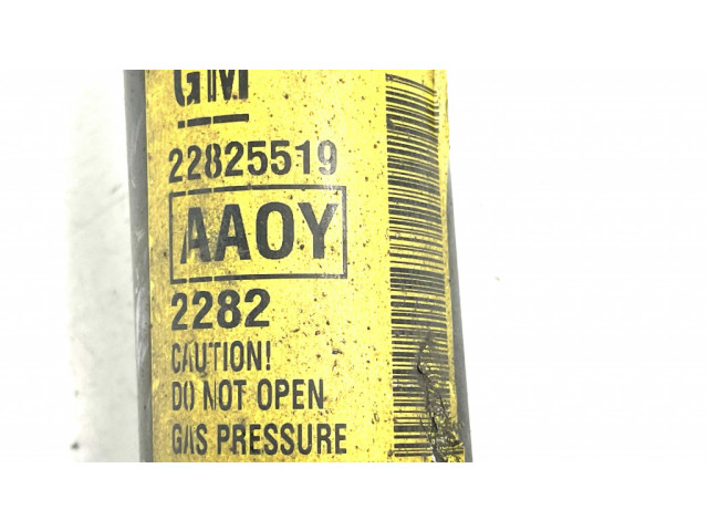 Задний aмортизатор      