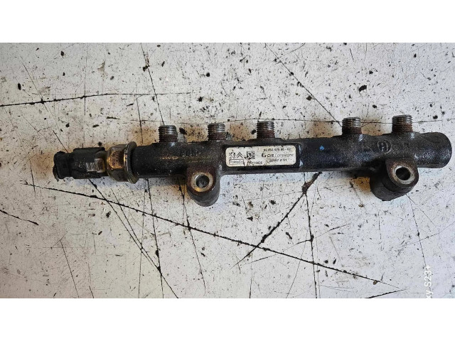 Vstřikovací lišta 9685297580, 120110836 Citroen Berlingo pro naftový motor 1.6