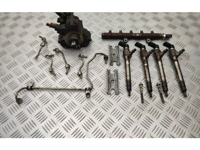 Комплект системы впрыска топлива 5WS40694, Bk2q9k546ag Ford Transit Custom cvff