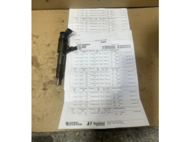 Форсунка 0445110340, 870692    Citroen Berlingo   