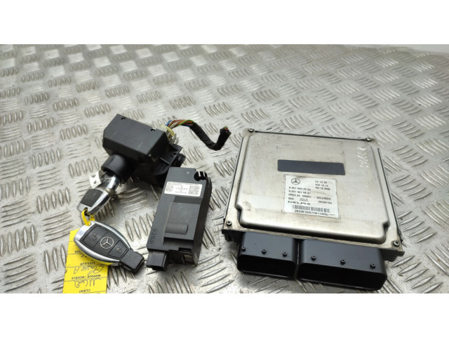 Řídící jednotka A6519007600, A6519010601 Mercedes-Benz A W176 2013