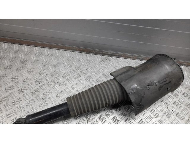 Задний aмортизатор (пневматическое / гидравлическое шасси)