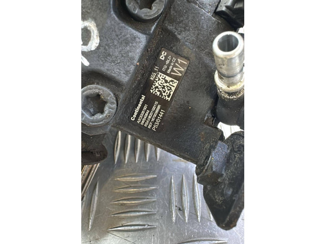 Vstřikovací čerpadlo 167003669R, P5301441   Renault Megane IV    K9K656 