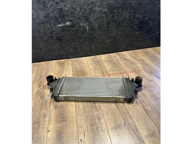 Интеркулер  A2515000000   Mercedes-Benz R W251 