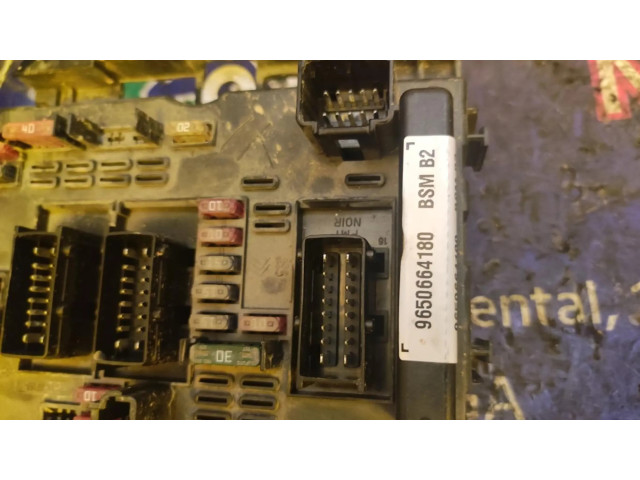 Pojistková skříňka 9650664180 Peugeot 206+