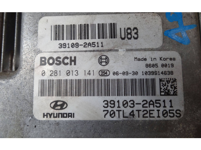 Блок управления двигателем Блок управления 39103-2A511, 0281013141   Hyundai Getz