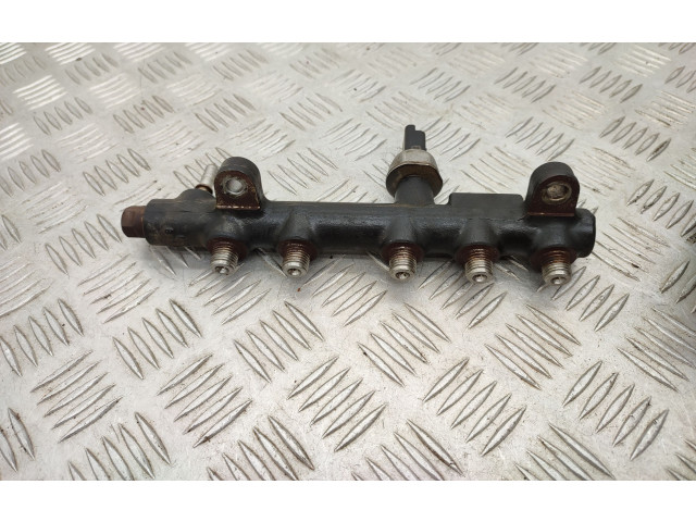 Комплект системы впрыска топлива 9674300080, 9674984080    Ford Kuga II  xrmc 