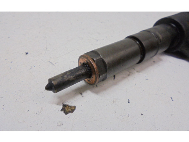 Vstřikovač 0445110135, 0445110135   Alpine C2    8HX 